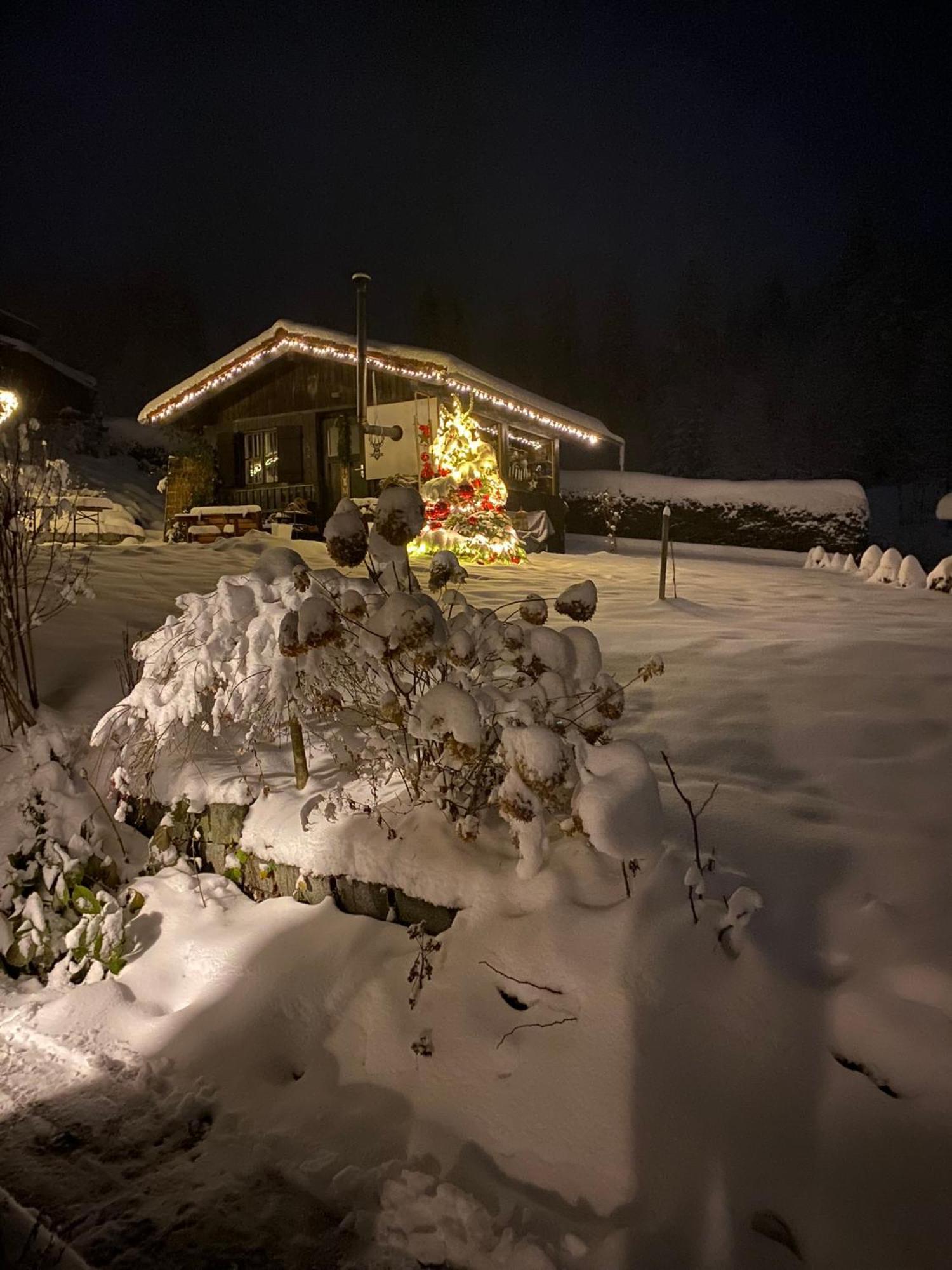 Das Alte Forsthaus Spiegelhuette Lindberg Exterior foto