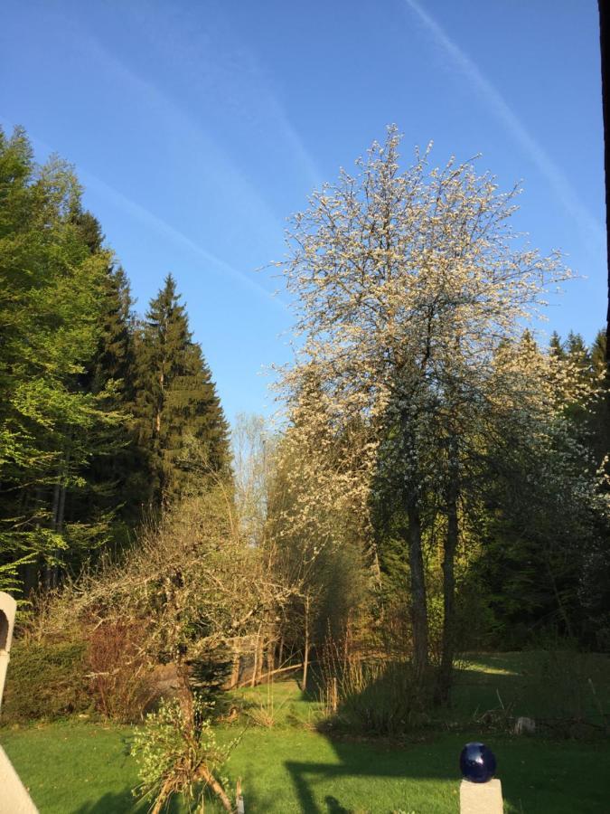 Das Alte Forsthaus Spiegelhuette Lindberg Exterior foto